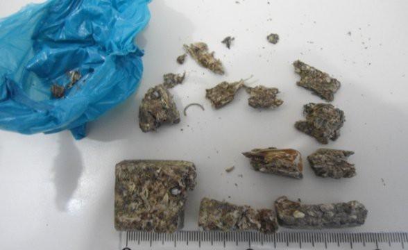 Polícia Civil de Bom Retiro prende homem e apreende adolescente por tráfico de drogas