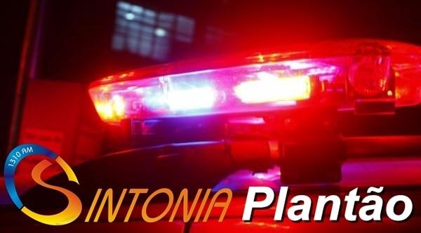 Polícia encontra 25 galos de rinha em Chapadão do Lageado