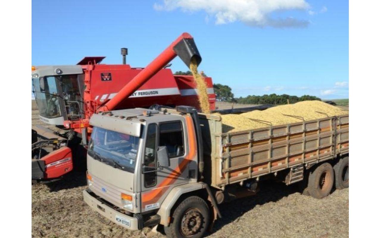 Boletim Agropecuário de dezembro prevê aumento na produção de soja em SC