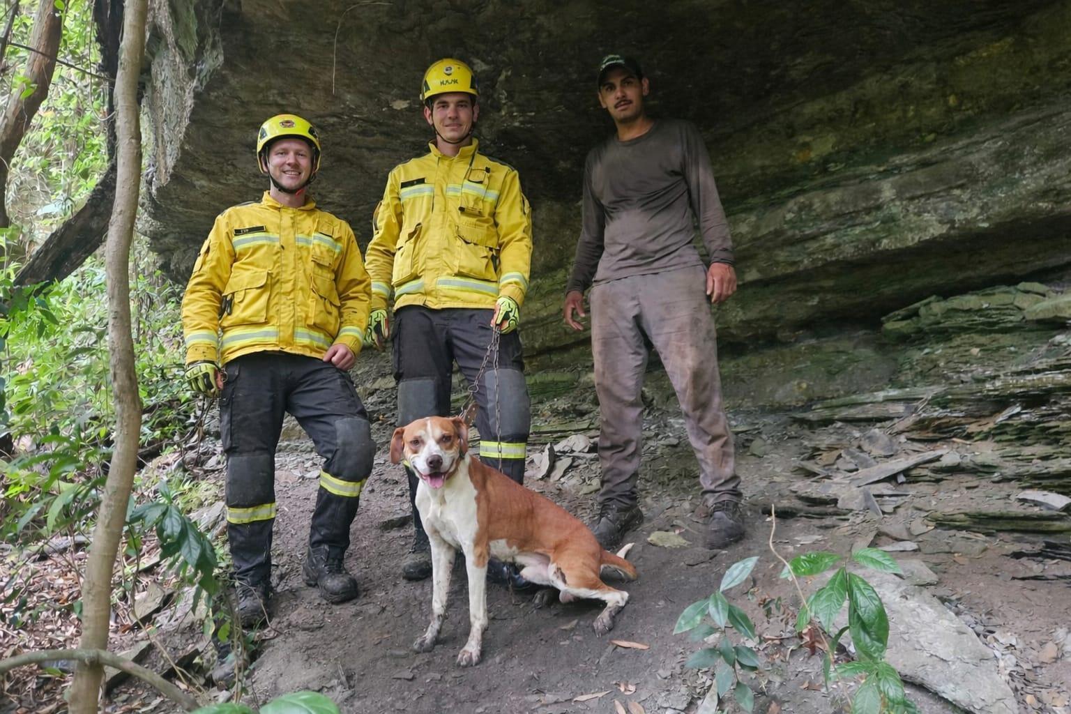 Bombeiros resgatam cão que caiu em ribanceira em Vidal Ramos