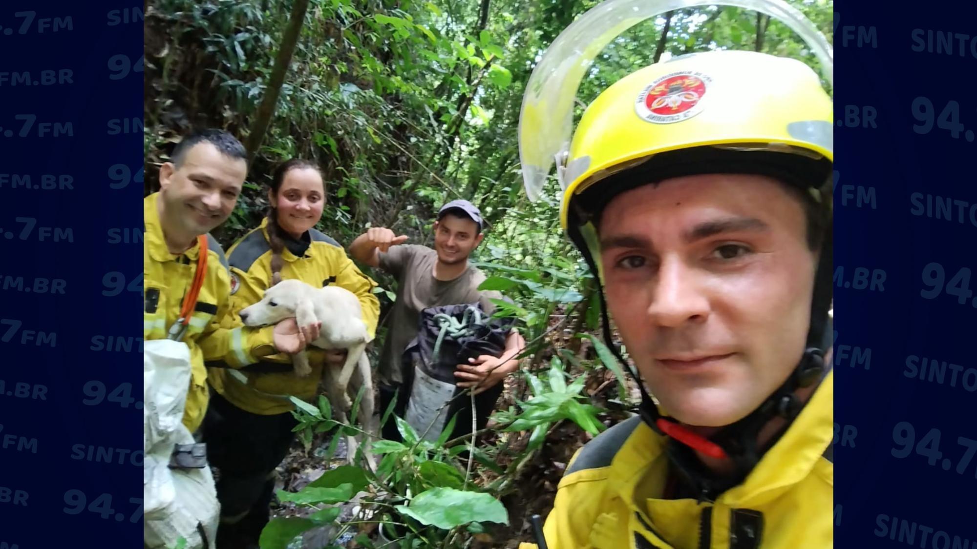 Bombeiros resgatam cão que ficou mais de 24 horas isolado em ribanceira em Vidal Ramos