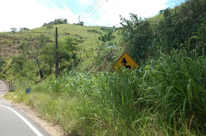BR-470 deve receber em breve operação para corte de vegetação às margens da rodovia