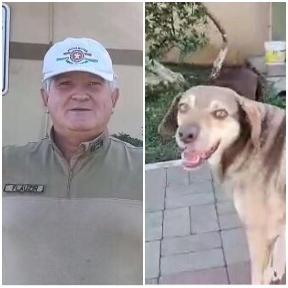 Cachorro de rua corre atrás de bicicleta e ajuda policial a deter suspeito de furto em SC 