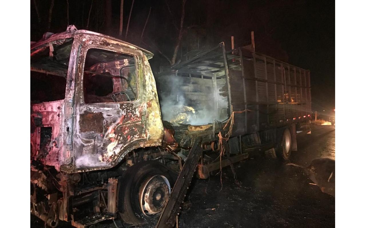 Caminhão carregado de animais pega fogo na BR-470