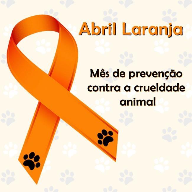 Campanha Abril Laranja visa prevenção contra a crueldade animal