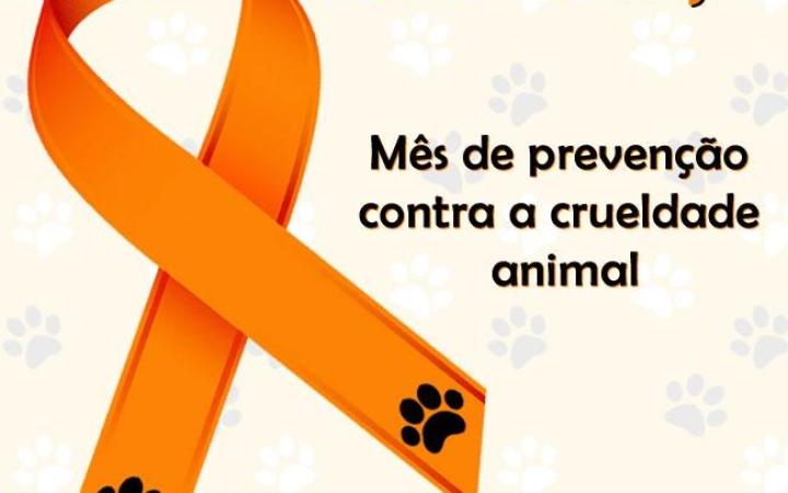 Campanha Abril Laranja visa prevenção contra a crueldade animal