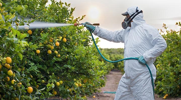 Campanha de recolhimento de embalagens de agrotóxicos inicia em setembro em Ituporanga
