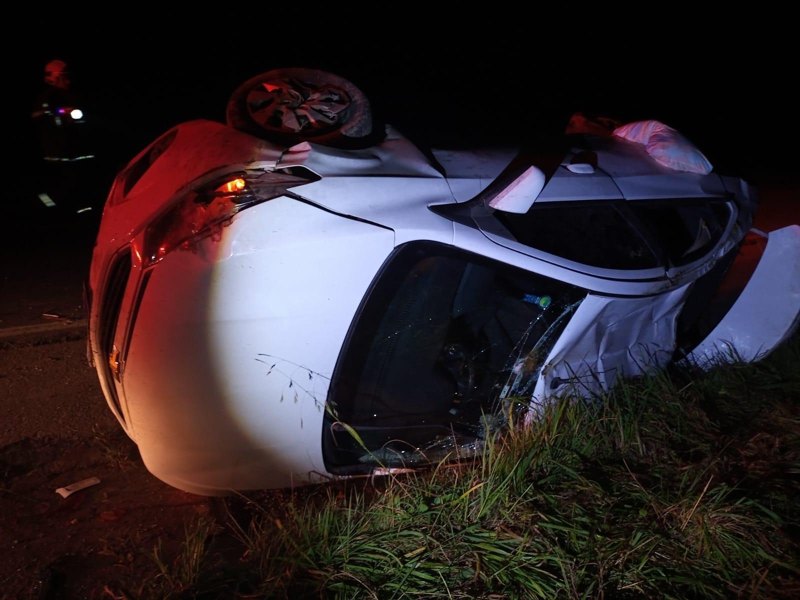 Cão morre em capotamento na BR-282 em Alfredo Wagner