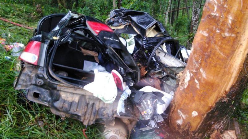 Carro bate contra árvore e homem morre na BR-470, em Ibirama