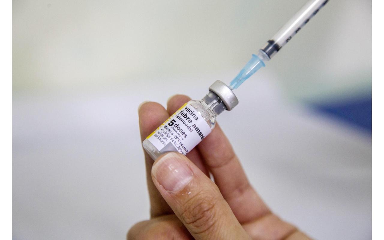 Circulação do vírus da Febre Amarela no Alto Vale alerta para importância da vacinação contra a doença