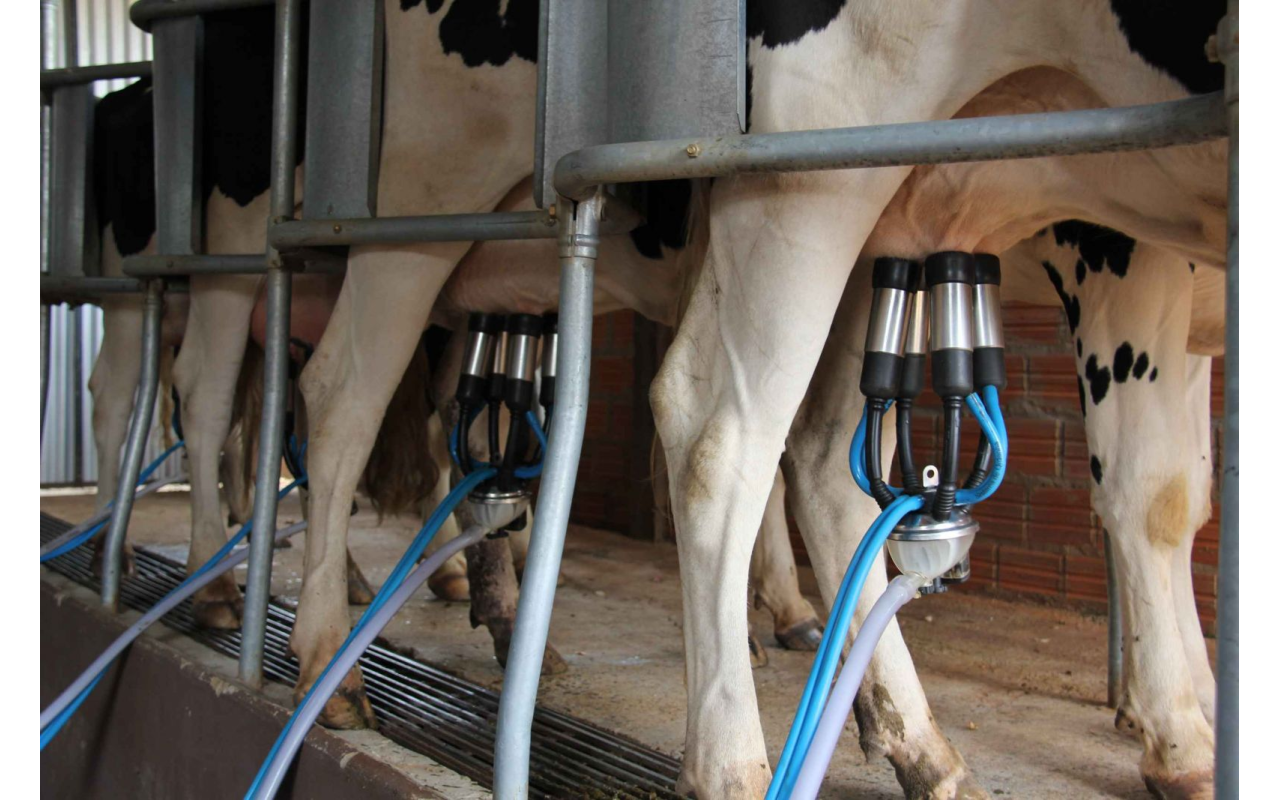 Comissão de agricultura da câmara aprova redução em 30% no custo da energia elétrica para produtores de leite