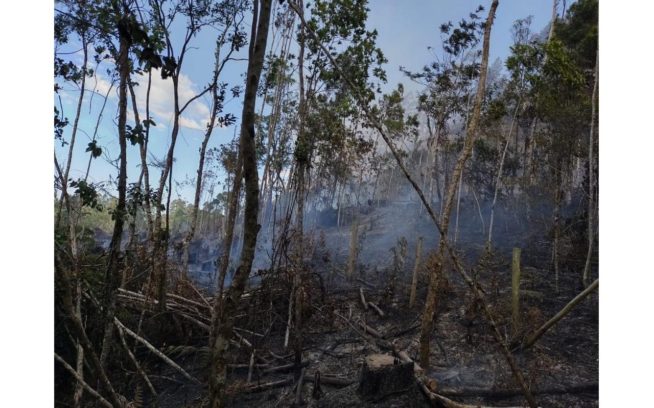 Corpo de Bombeiros emite alerta para prevenir incêndios florestais