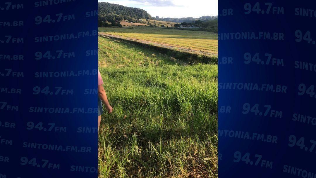 Corpo é encontrado às margens de rodovia do Alto Vale