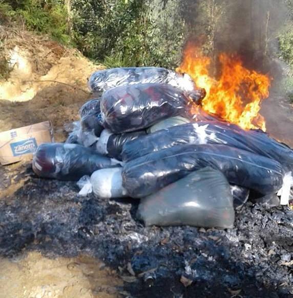 Crime ambiental é registrado no Alto Vale	