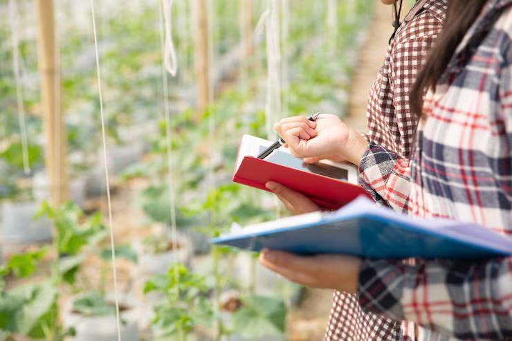 Cursos técnicos de nível médio estão disponíveis gratuitamente pelo Senar