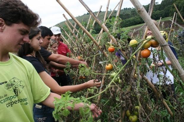 Secretaria da Educação irá comprar quatro toneladas em produtos de agricultura familiar