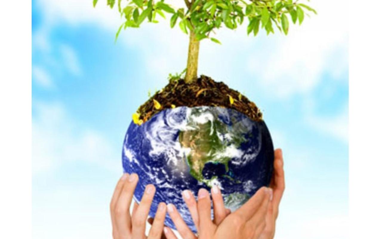 Projeto de Educação Ambiental deve ser desenvolvido nesse ano em escolas de Ituporanga