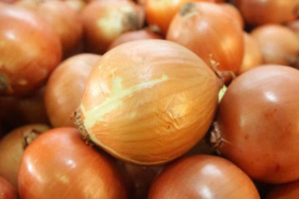 Dados apontam que restam cerca de 50% de cebola para ser comercializada em SC