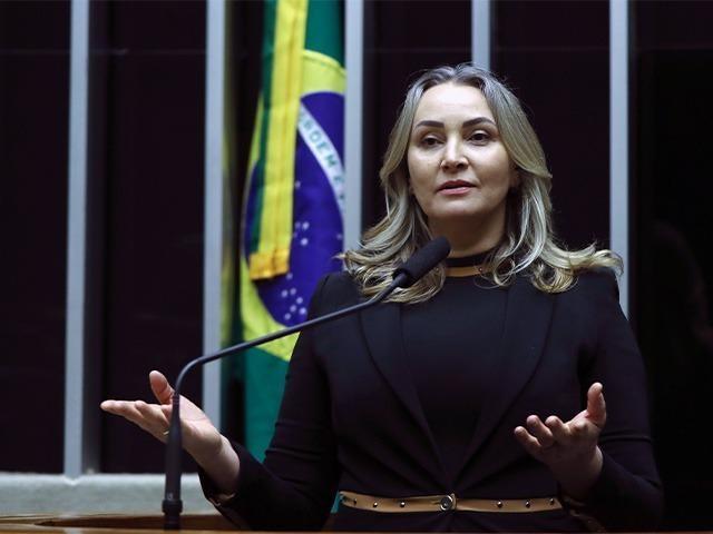 Daniela Reinehr defende agregação de valor para fortalecer o agronegócio