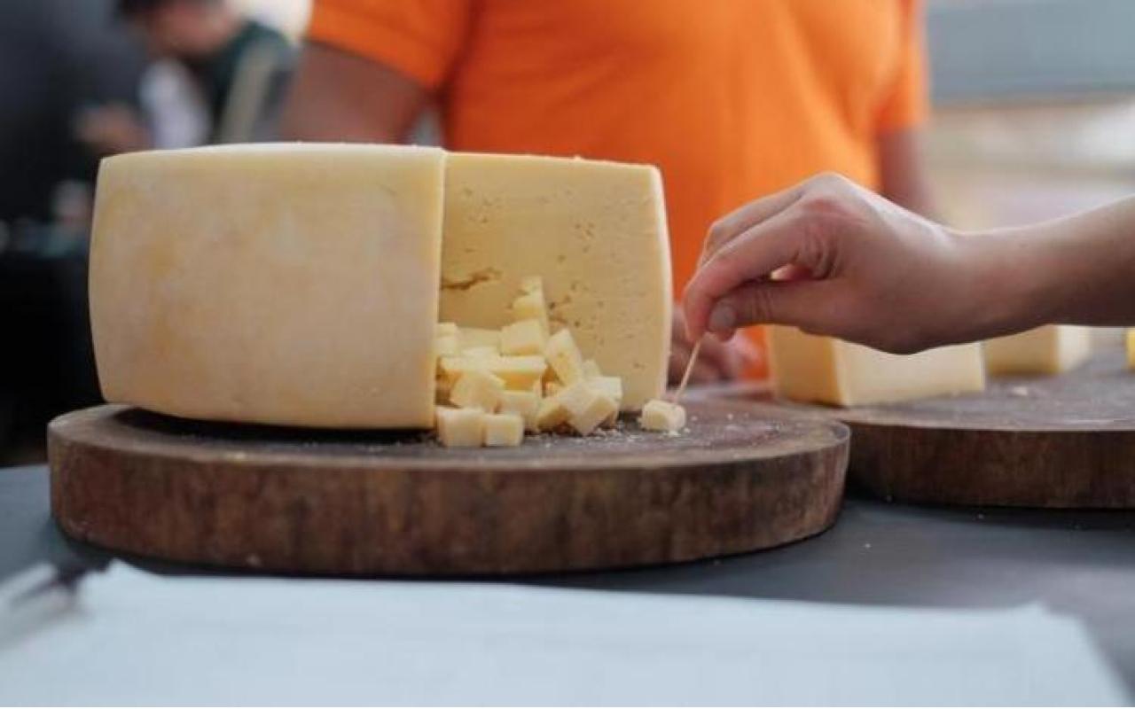 Decreto regulamenta produção de queijos artesanais em Santa Catarina 