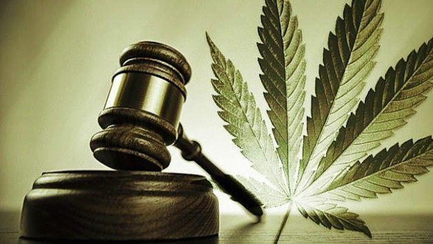Delegado Regional de Ituporanga afirma que decisão do STF sobre descriminalização da maconha terá pouco impacto na fiscalização prática