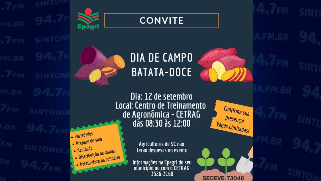 Dia de Campo da Batata Doce será realizado em Agronômica na quinta-feira (12)