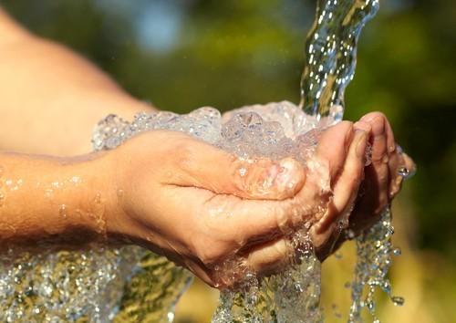 Dia Mundial da Água: conheça o trabalho da Associação de Preservação do Meio Ambiente e da Vida - Apremavi