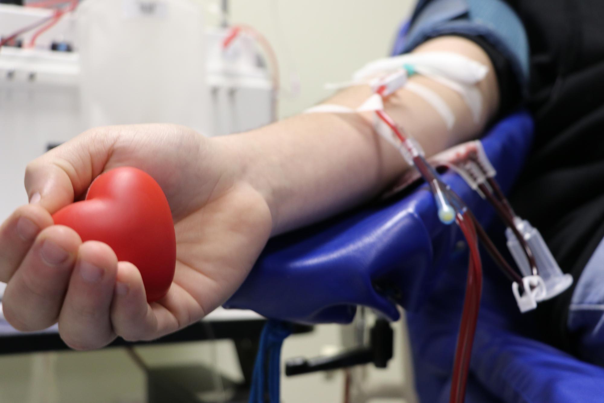 Dia Mundial do Doador de Sangue é celebrado nesta sexta-feira (14)