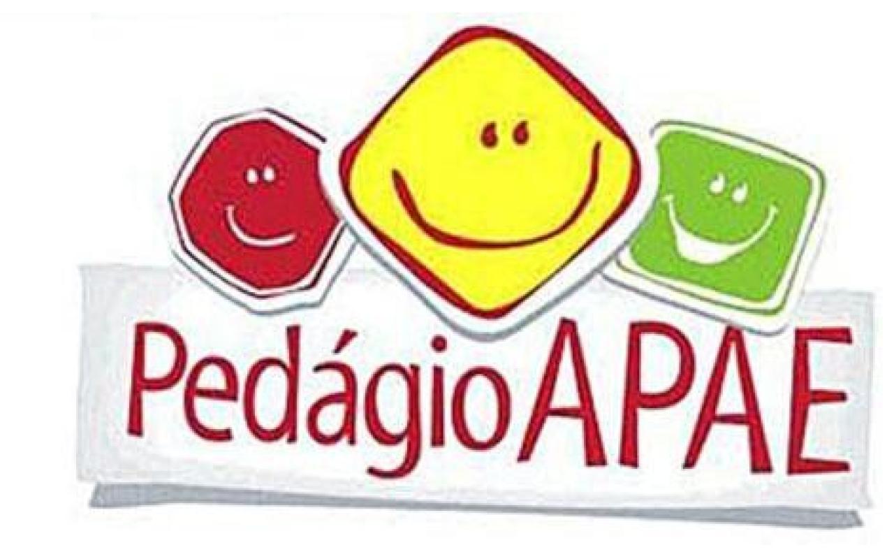 APAE de Ituporanga arrecada em torno de R$ 40 mil em pedágio