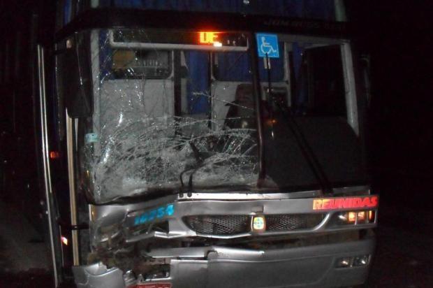 Ônibus bate em três animais na BR-470 entre Navegantes e Ilhota 