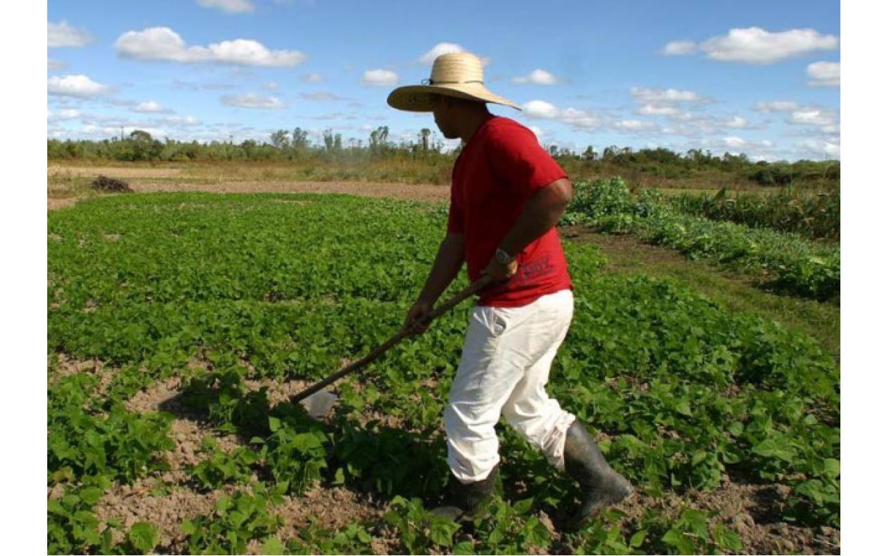 Campanha da Epagri incentiva agricultores sobre o uso do chapéu