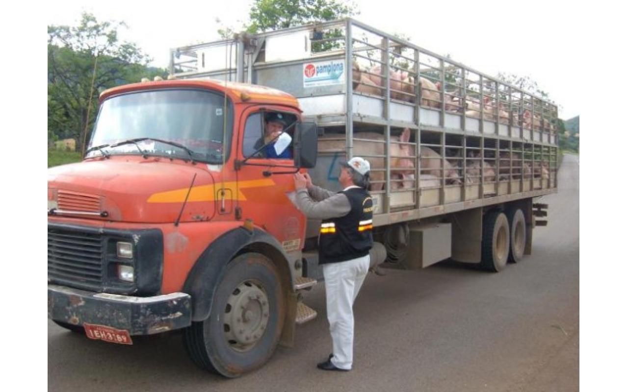 Novas regras para a Guia de Transito Eletrônica entram em vigor