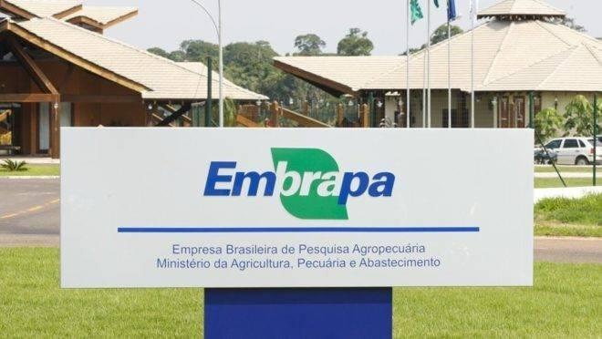 Embrapa quer vender terras ociosas para reinvestir em pesquisa