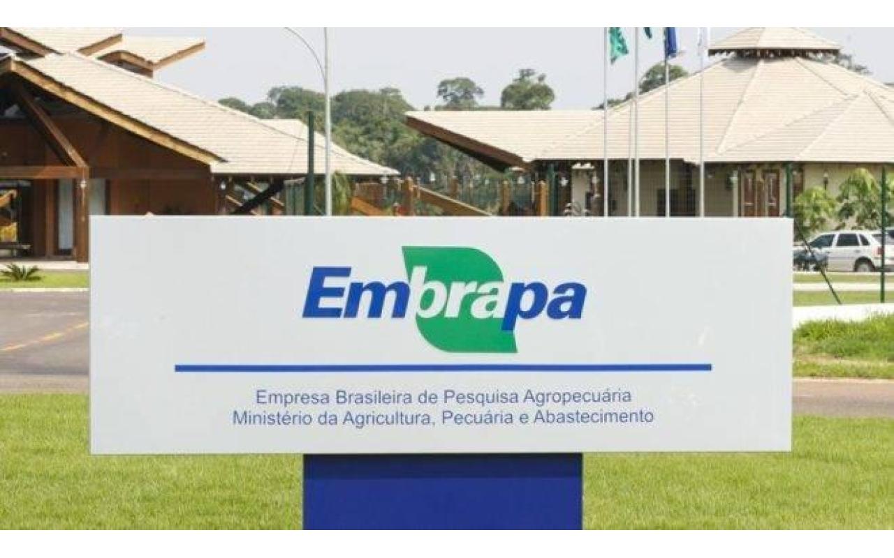 Embrapa quer vender terras ociosas para reinvestir em pesquisa