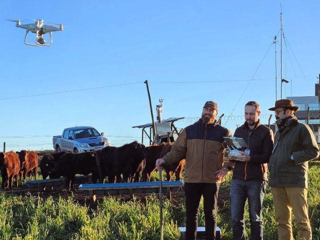 Epagri de Lages usa drones para monitorar pastagens e reduzir custos na pecuária