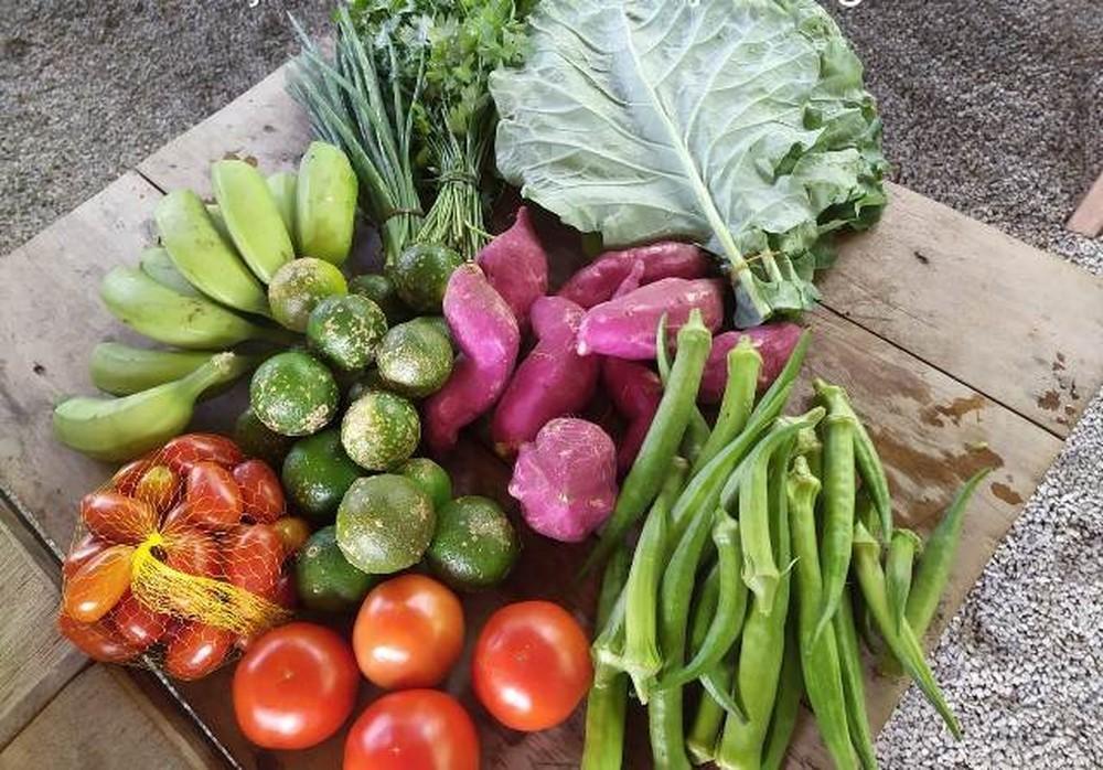 Epagri divulga lista de municípios que contam com entrega domiciliar de alimentos