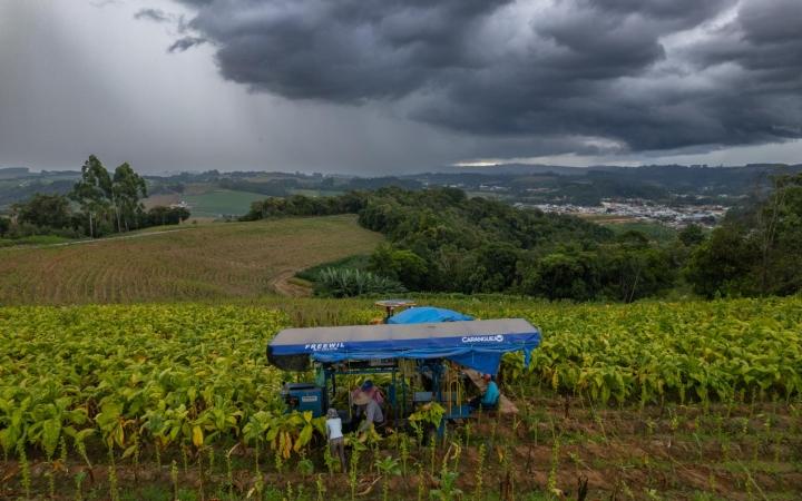 Epagri estima prejuízos de mais de R$ 1 bilhão na agricultura do Alto Vale por conta das chuvas de outubro e novembro