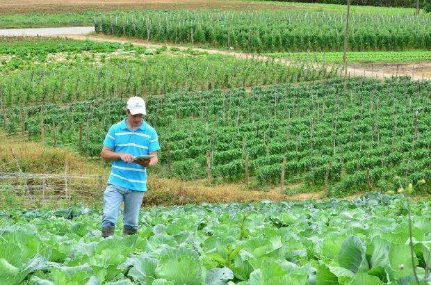 Epagri oferece canal de assistência técnica remota para agricultores de Santa Catarina