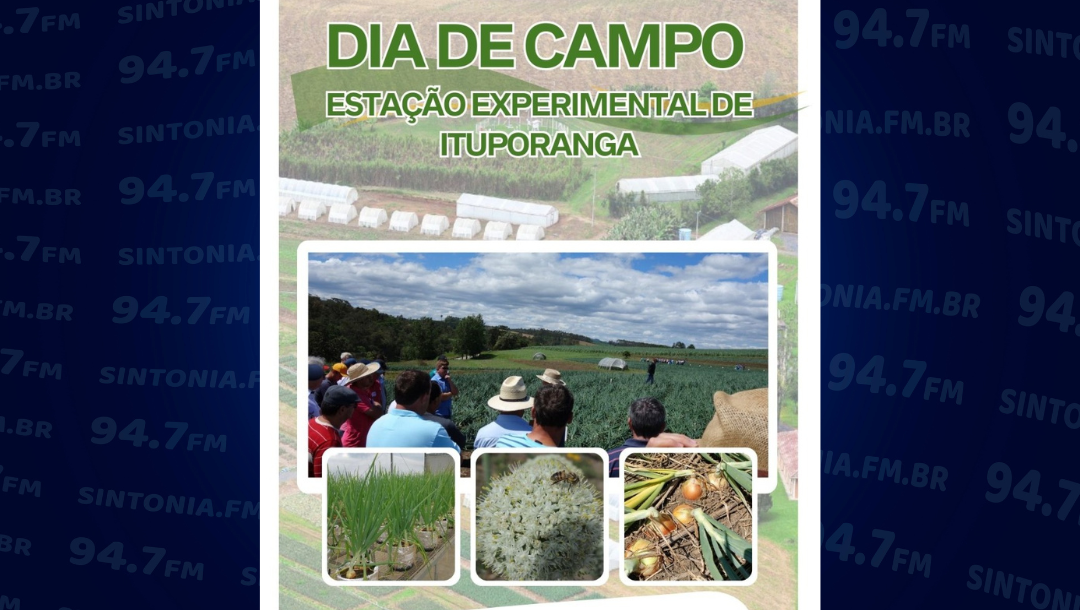 Epagri promove Dia de Campo na Estação Experimental de Ituporanga