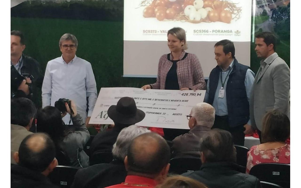 Epagri recebe mais de R$ 420 mil em royalties por cultivares de cebola desenvolvidas em Ituporanga