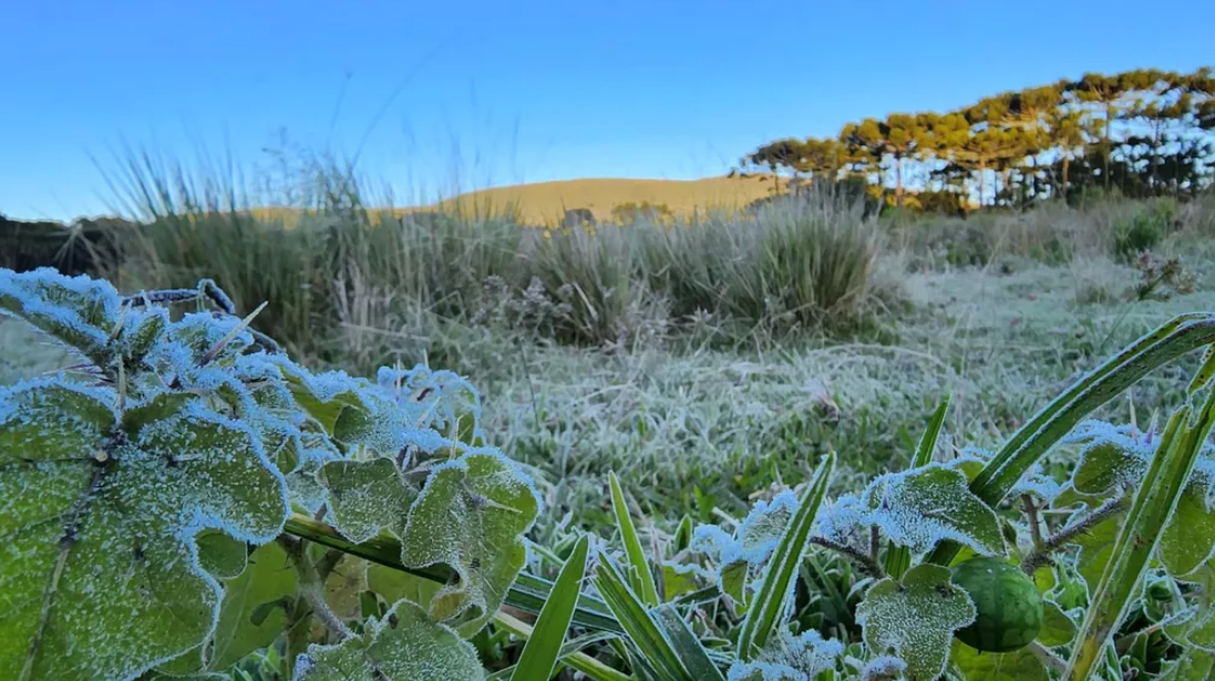 Serra Catarinense registra as primeiras temperaturas negativas de 2022