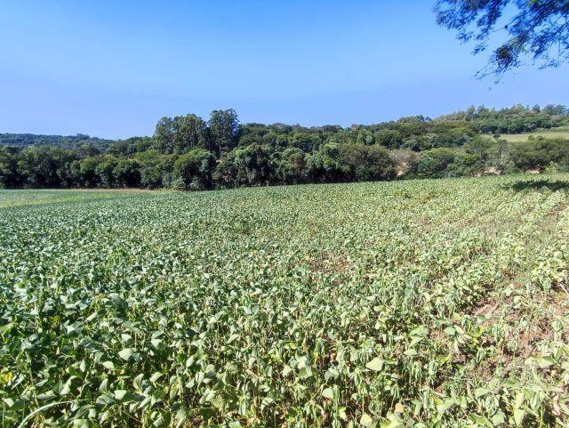 Estiagem afeta municípios do Alto Vale e Defesa Civil intensifica apoio com caixas d’água e caminhões-pipa
