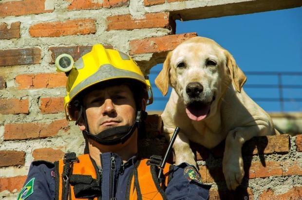 Santa Catarina é referência em busca e resgate com cães