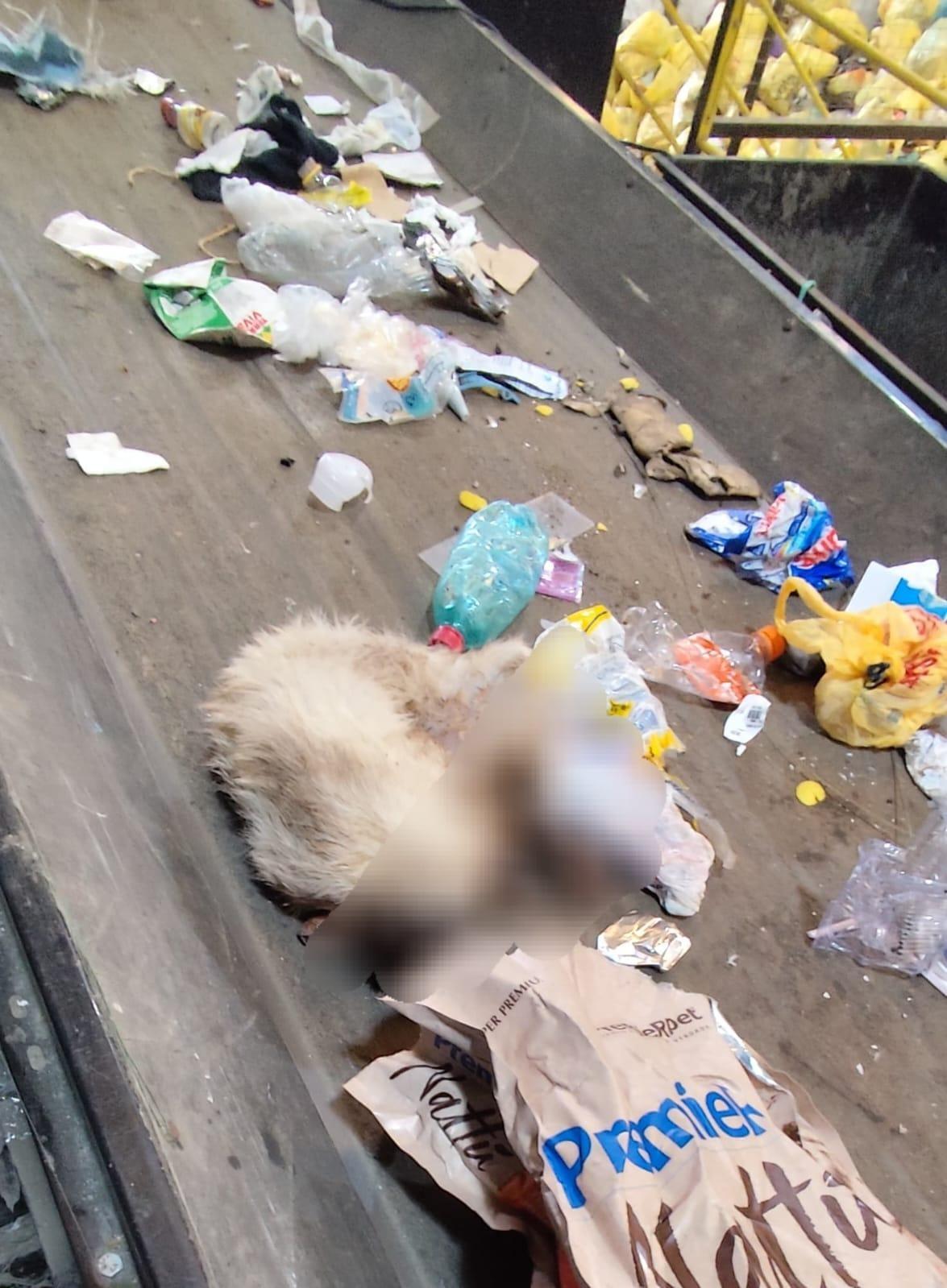 Falta de conscientização coloca em risco trabalhadores da reciclagem em Ituporanga