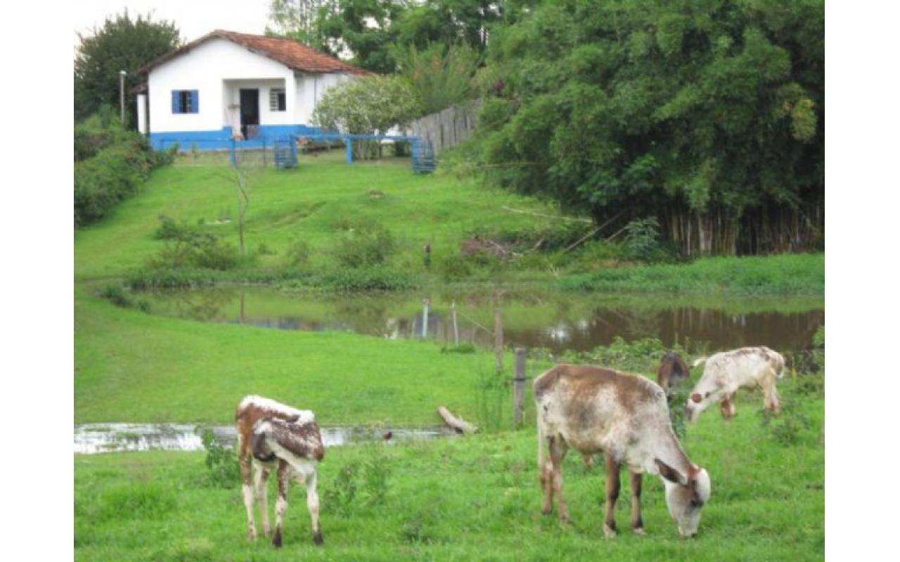 Proprietários de imóveis rurais precisam atualizar o INCRA