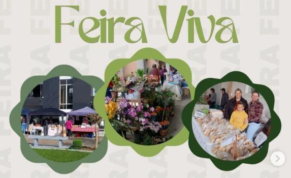 Feira Viva retorna neste sábado (07) em Petrolândia com edição especial pelo Dia da Mulher