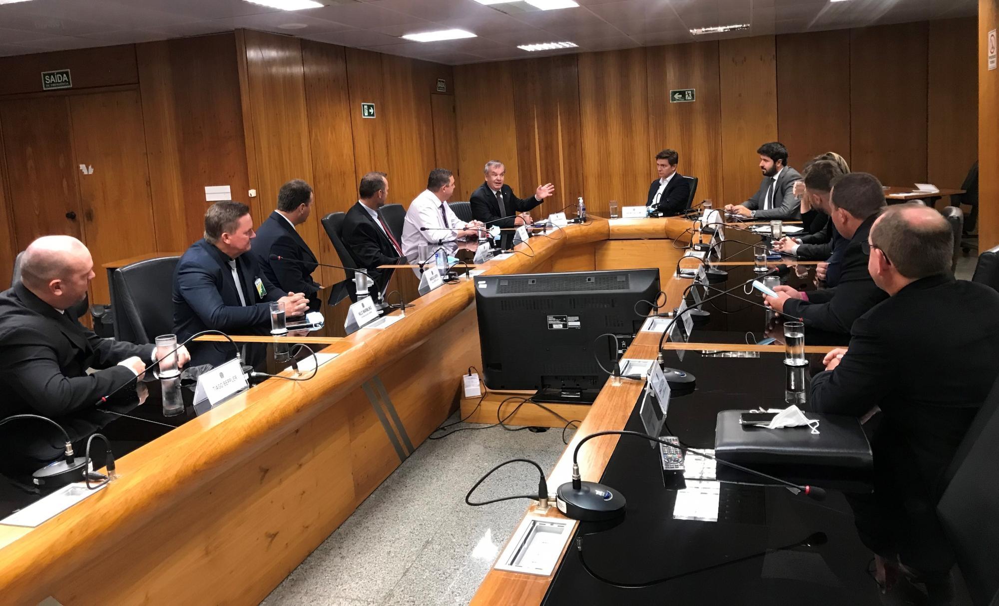 Fiscalização nas lavouras de cebola de Santa Catarina é debatida em Brasília