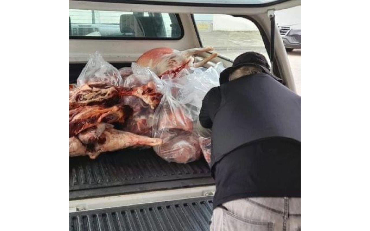 Força Tarefa apreende 800kg de carne e derivados, deteriorados em SC