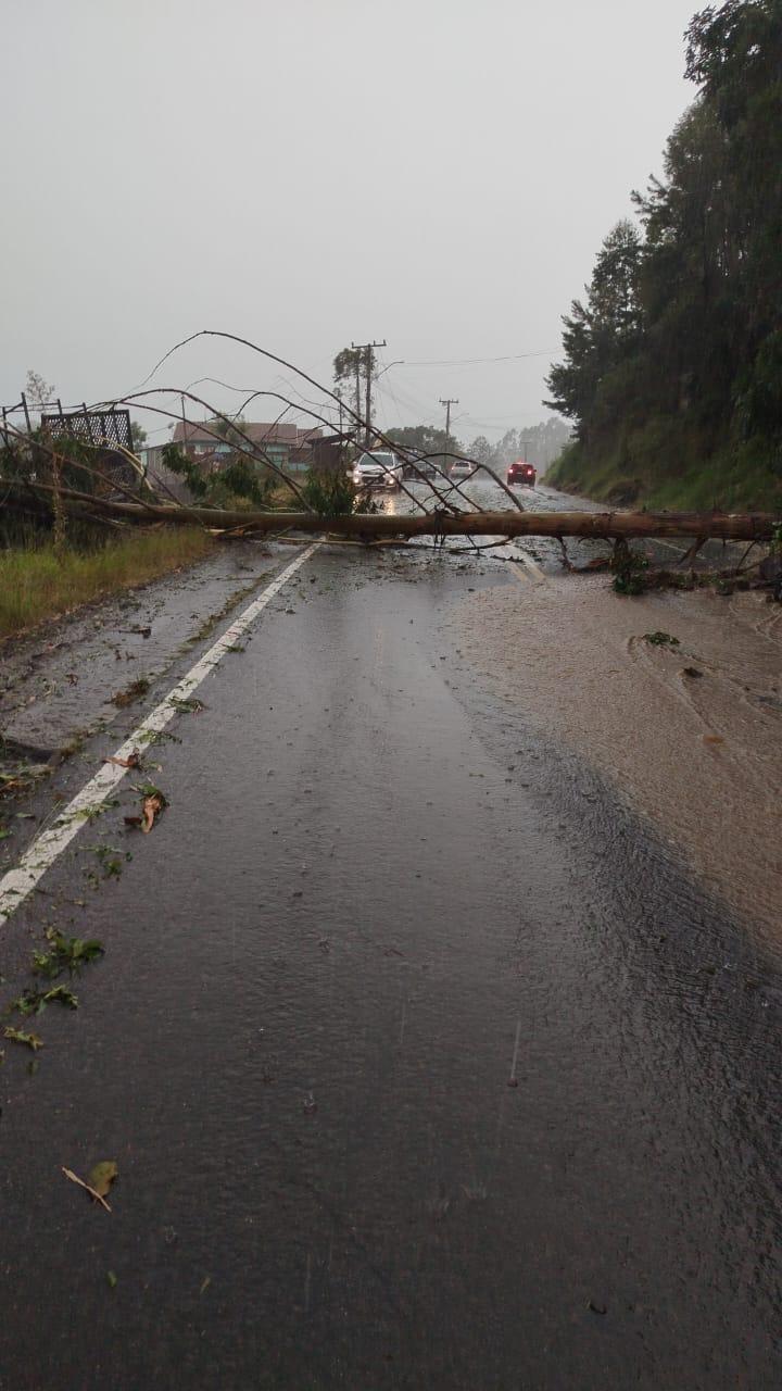 Forte temporal provoca estragos e deixa quase 10 mil unidades sem energia no Alto Vale