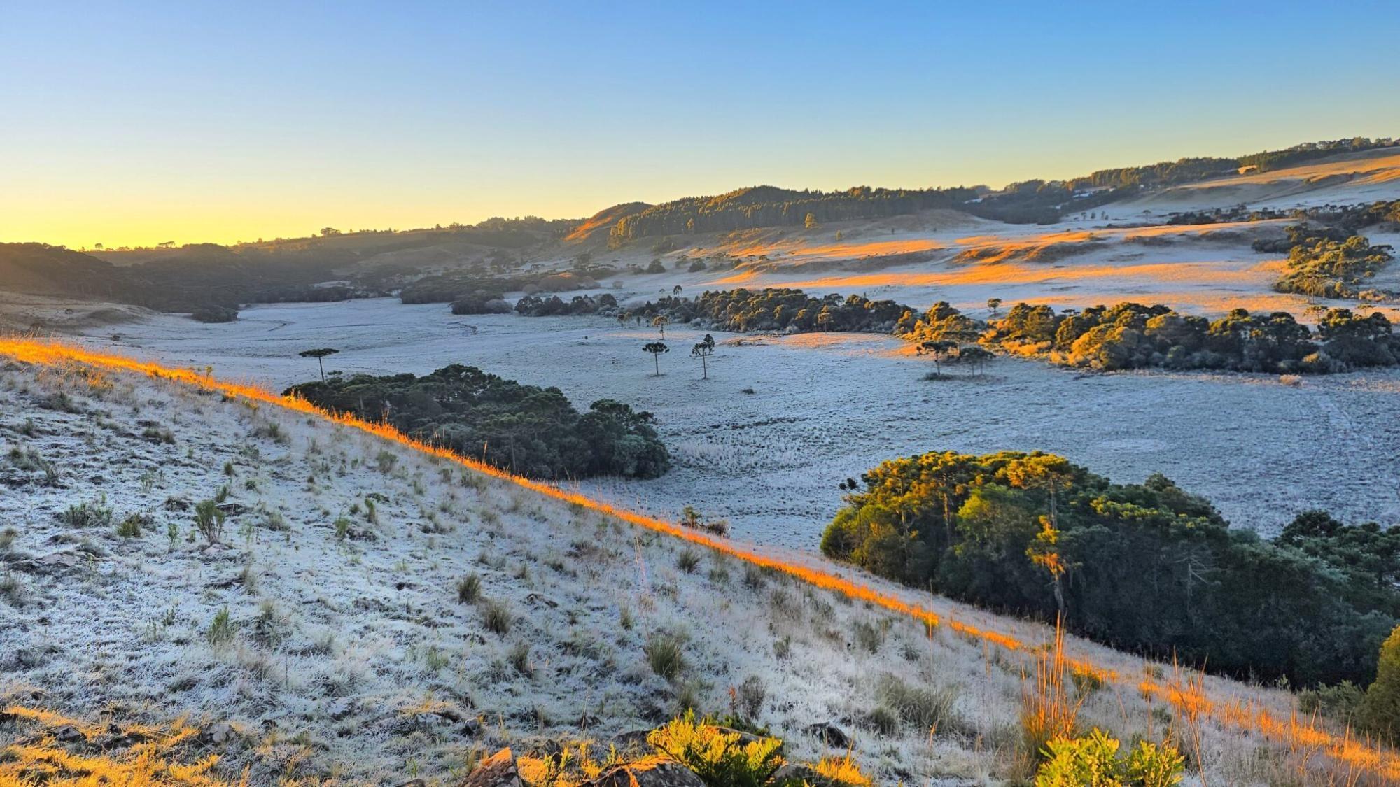 Frio intenso vai atingir o Alto Vale com geada e mínimas negativas